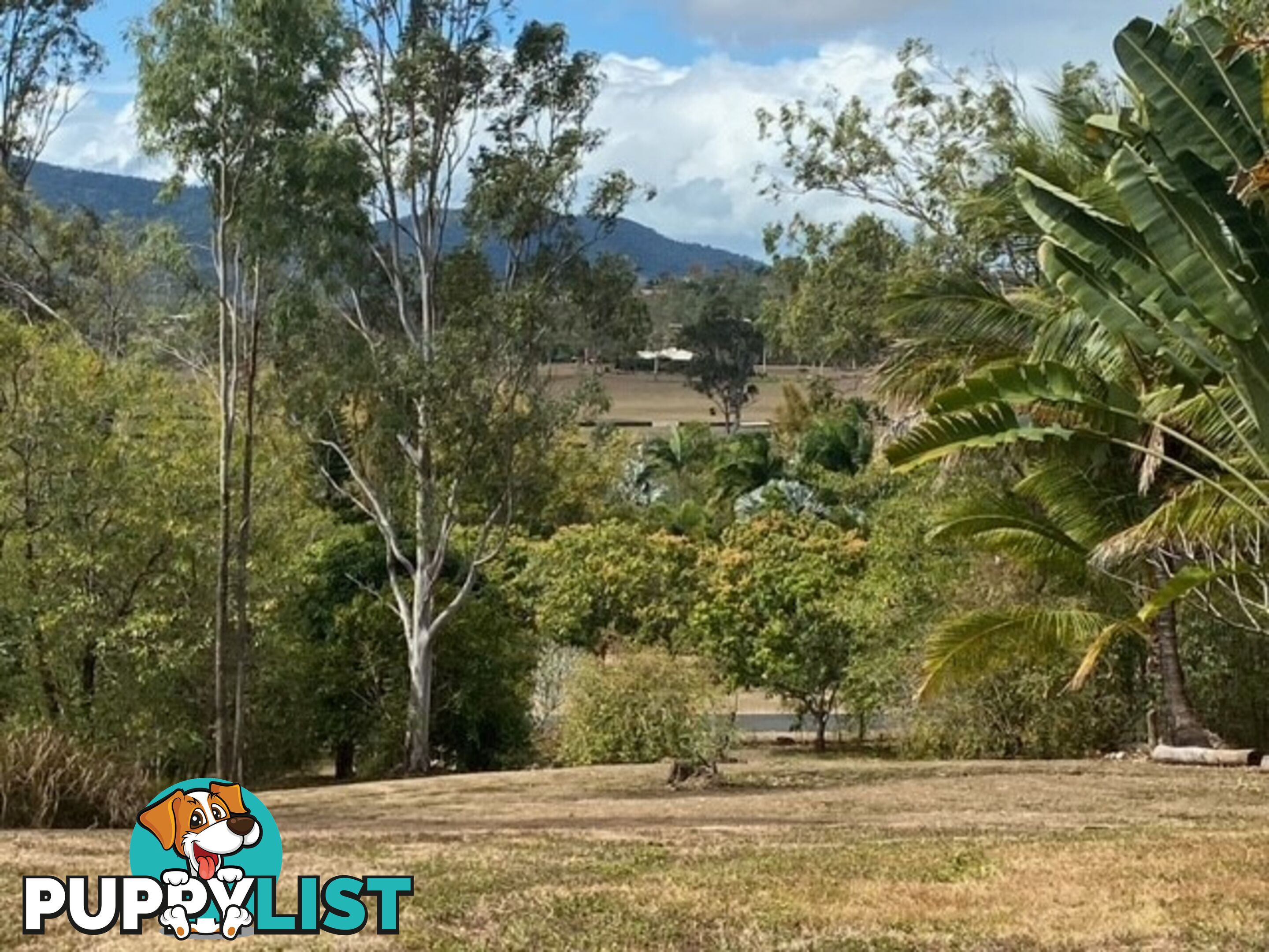 94 Whitsunday Drive Bloomsbury QLD 4799