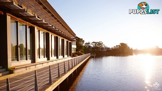 ID:3901201 25 The Corso North Lakes qld 4509
