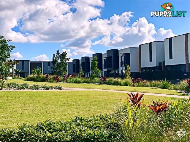 ID:3901201 25 The Corso North Lakes qld 4509