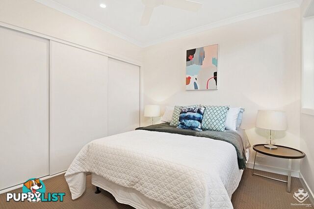 ID:3901201 25 The Corso North Lakes qld 4509