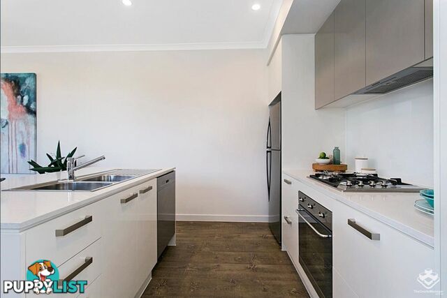 ID:3901201 25 The Corso North Lakes qld 4509