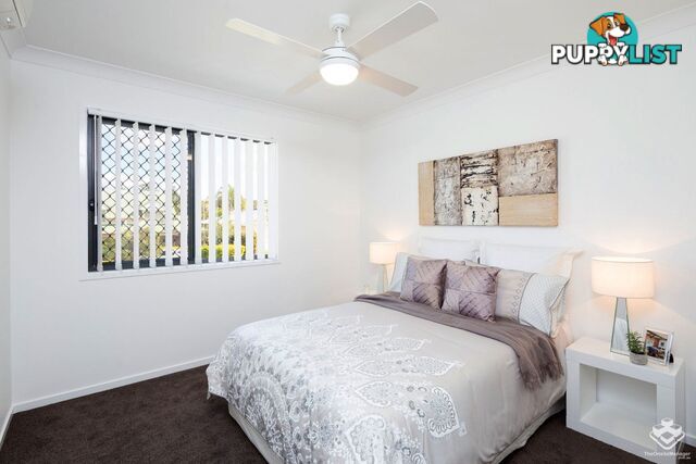 ID:21156567 28 Sean Street Boondall QLD 4034