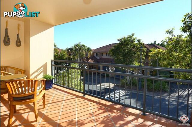 ID:21128899 85 Palm Meadows Drive Carrara QLD 4211