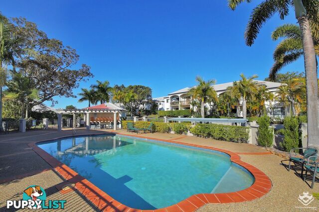 ID:21128899 85 Palm Meadows Drive Carrara QLD 4211