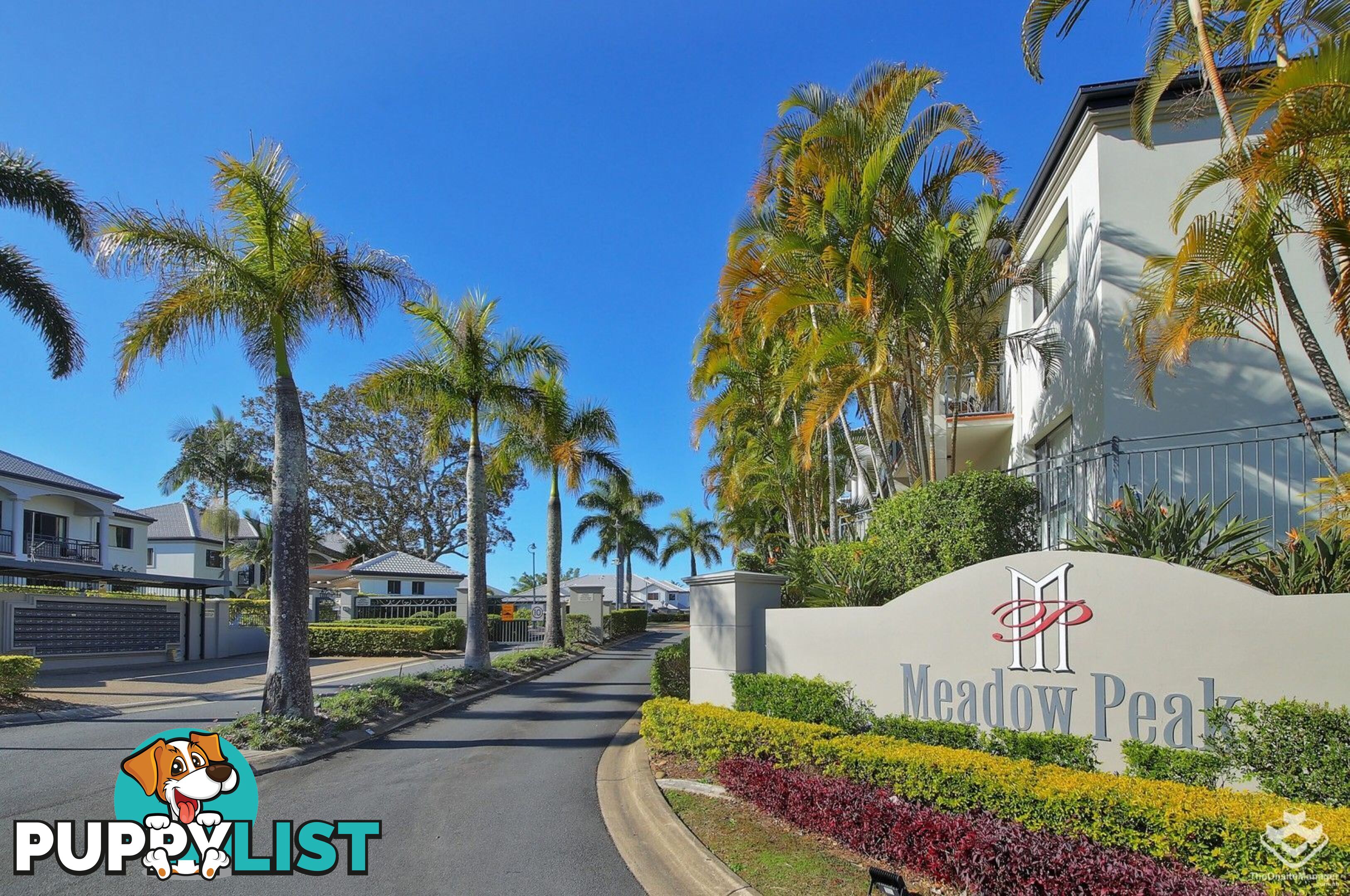 ID:21128899 85 Palm Meadows Drive Carrara QLD 4211