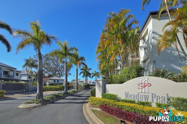 ID:21128899 85 Palm Meadows Drive Carrara QLD 4211