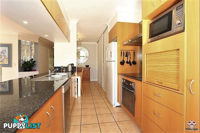 ID:21128899 85 Palm Meadows Drive Carrara QLD 4211