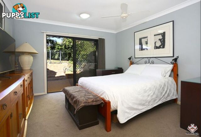 ID:21128899 85 Palm Meadows Drive Carrara QLD 4211
