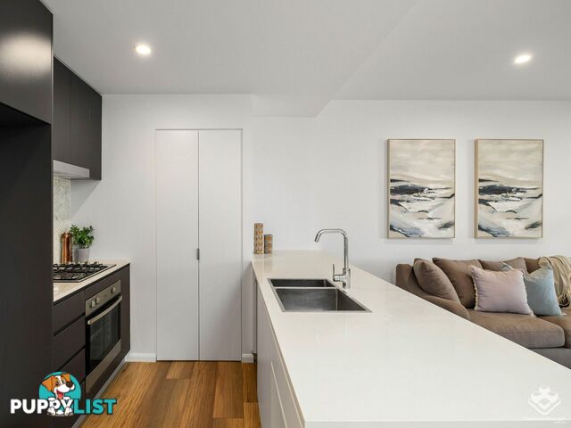ID:21152963 10 Curwen Terrace Chermside QLD 4032