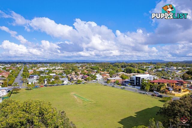 1008/378 Marine Parade Labrador QLD 4215