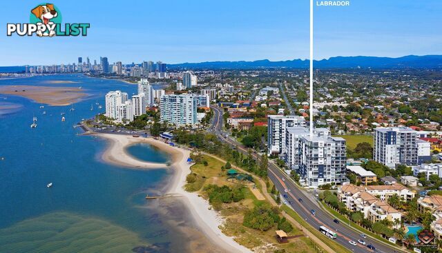 1008/378 Marine Parade Labrador QLD 4215