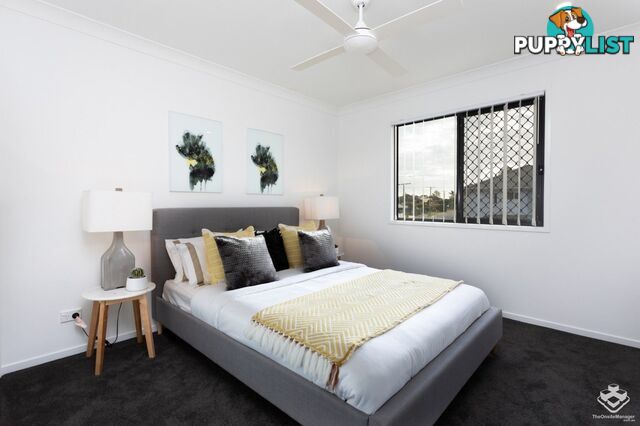 ID:21154534 48 Sean Street Boondall QLD 4034