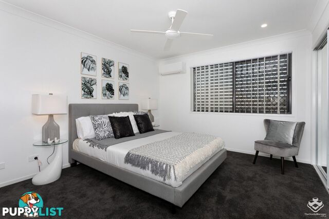 ID:21154534 48 Sean Street Boondall QLD 4034