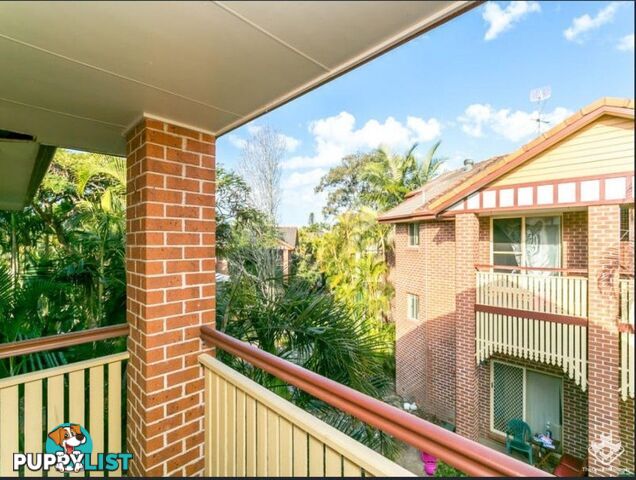 ID:21136788 100 Racecourse Drive Bundall QLD 4217