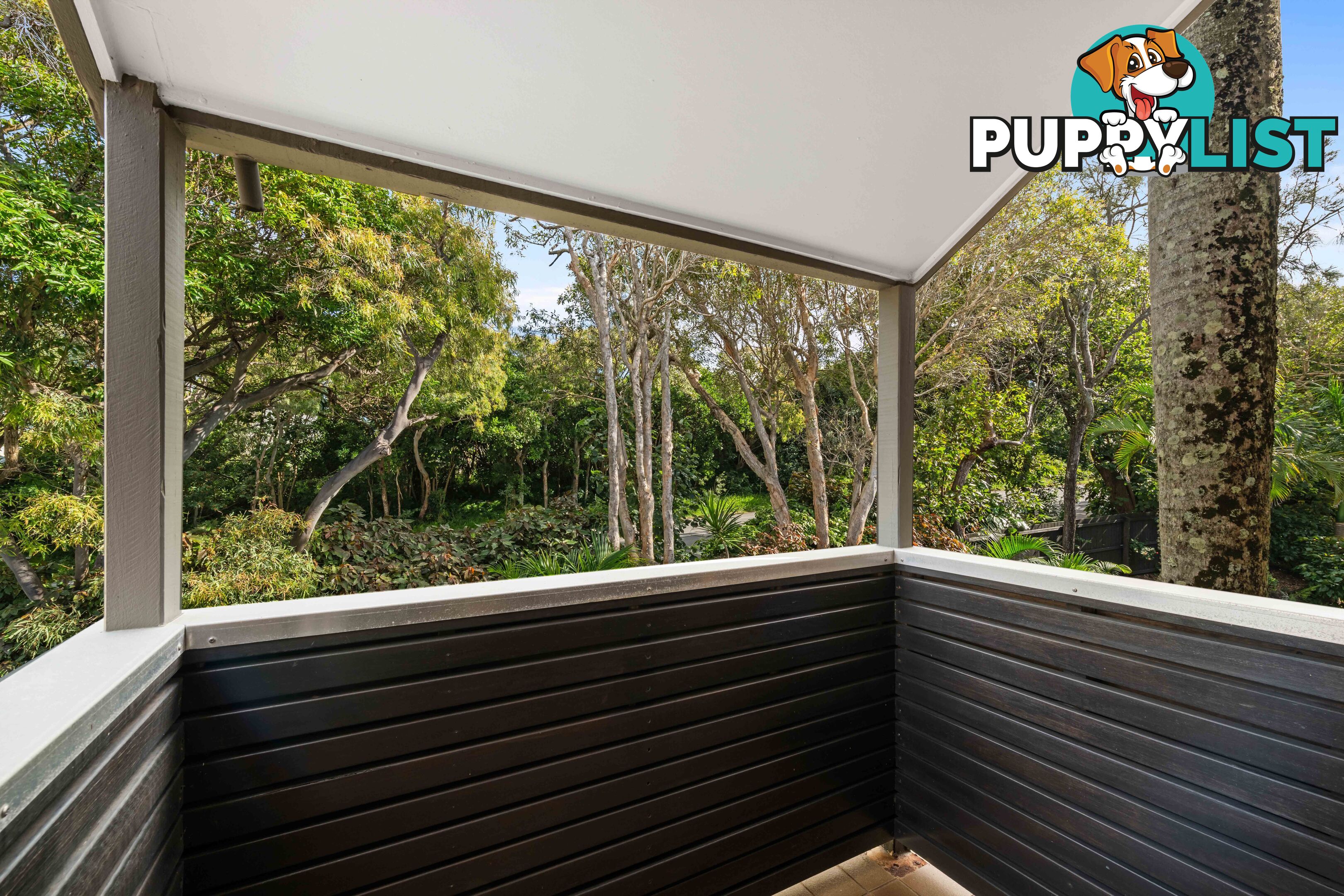 ID:21137985 388 David Low Way Peregian Beach QLD 4573
