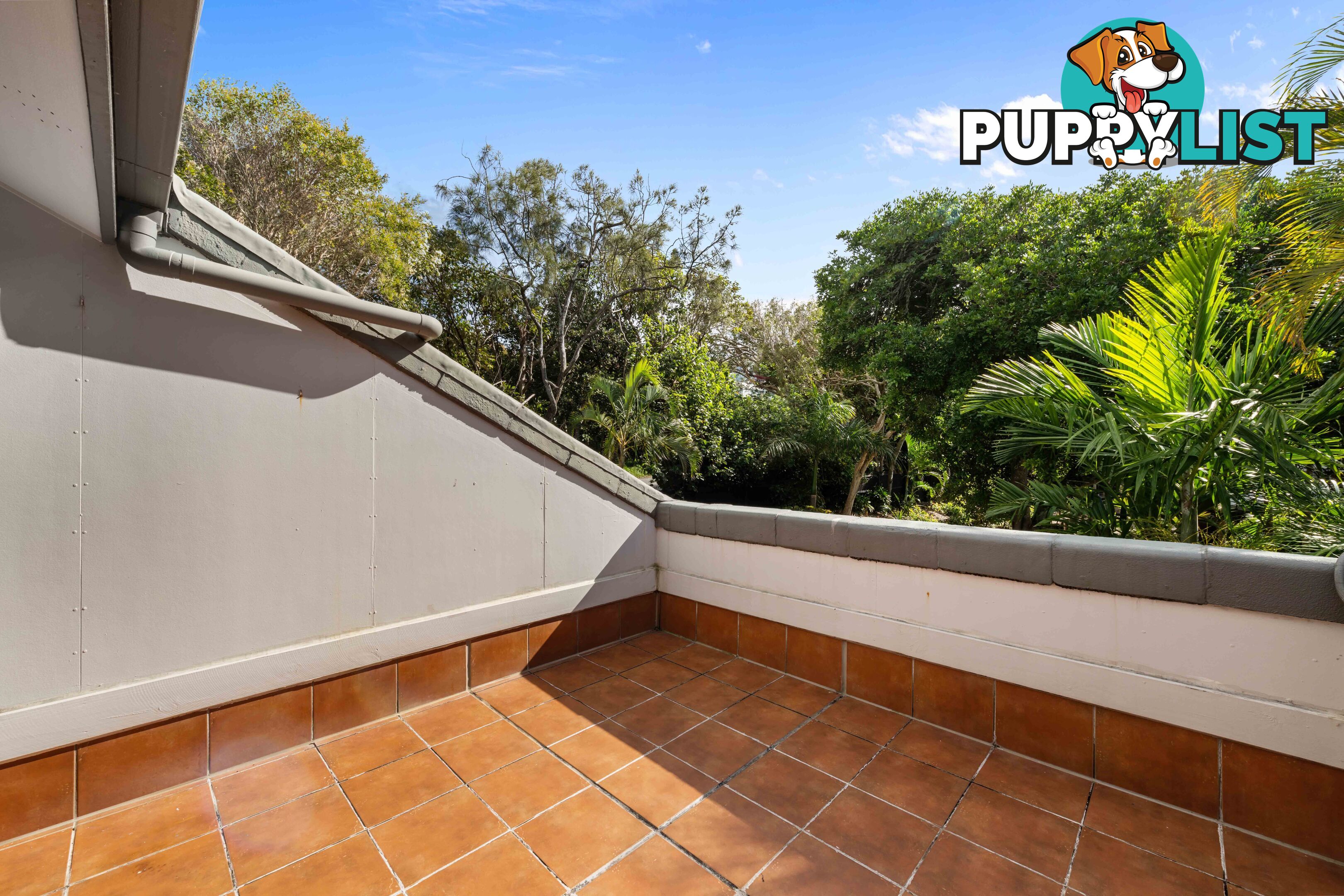 ID:21137985 388 David Low Way Peregian Beach QLD 4573