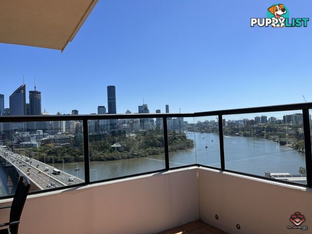 ID:21121036/260 Vulture Street South Brisbane QLD 4101