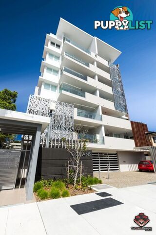 ID:3903679 26 Gray Street Southport QLD 4215