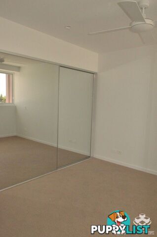 ID:3903679 26 Gray Street Southport QLD 4215