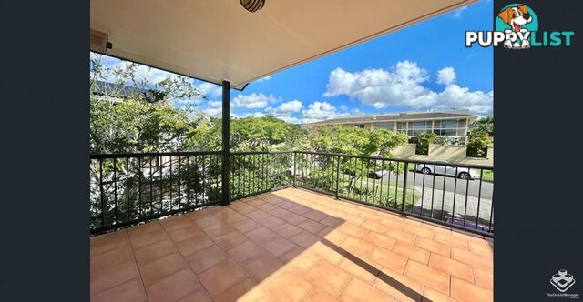 2/24 Herbertson Road Carina Heights QLD 4152