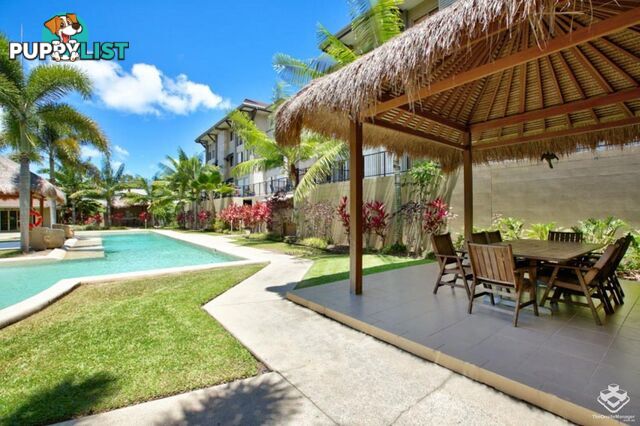 ID:21146707 22 Ward Street Mooroobool QLD 4870