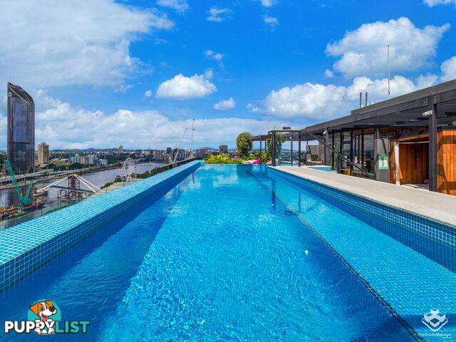 ID:21150469 77 Grey Street South Brisbane QLD 4101