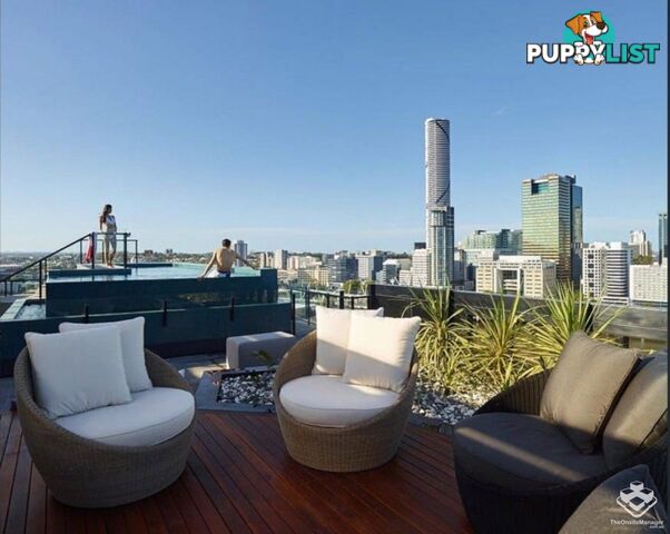 ID:21150469 77 Grey Street South Brisbane QLD 4101