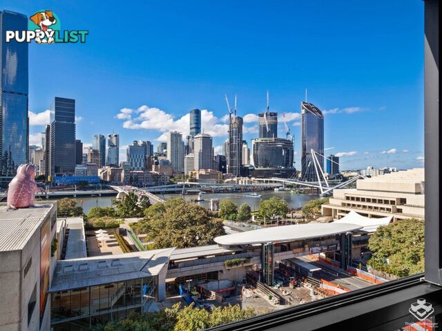 ID:21150469 77 Grey Street South Brisbane QLD 4101
