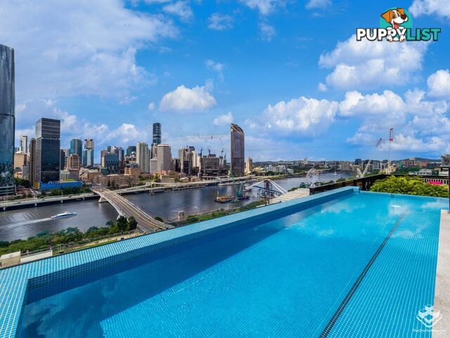 ID:21150469 77 Grey Street South Brisbane QLD 4101