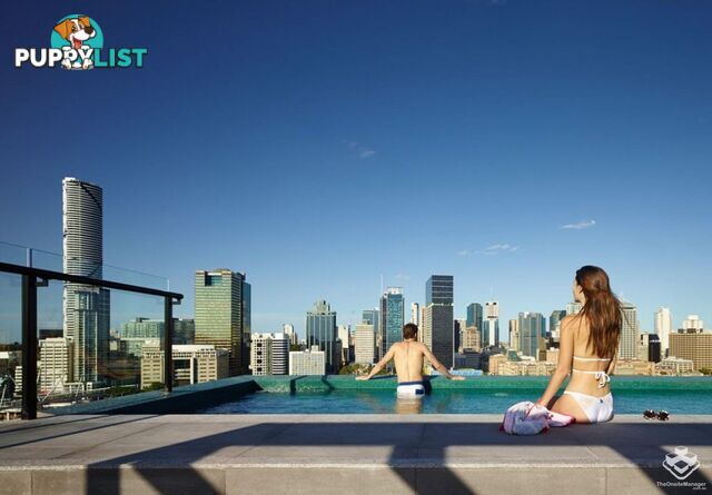 ID:21150469 77 Grey Street South Brisbane QLD 4101
