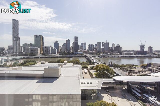 ID:21150469 77 Grey Street South Brisbane QLD 4101