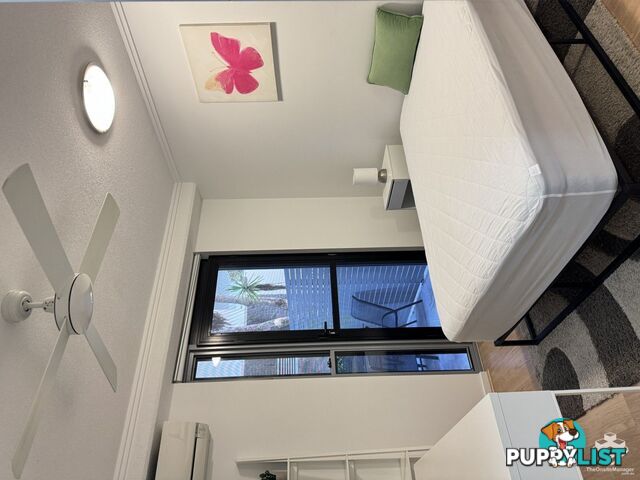 ID:21154140 154 Musgrave Avenue Southport QLD 4215