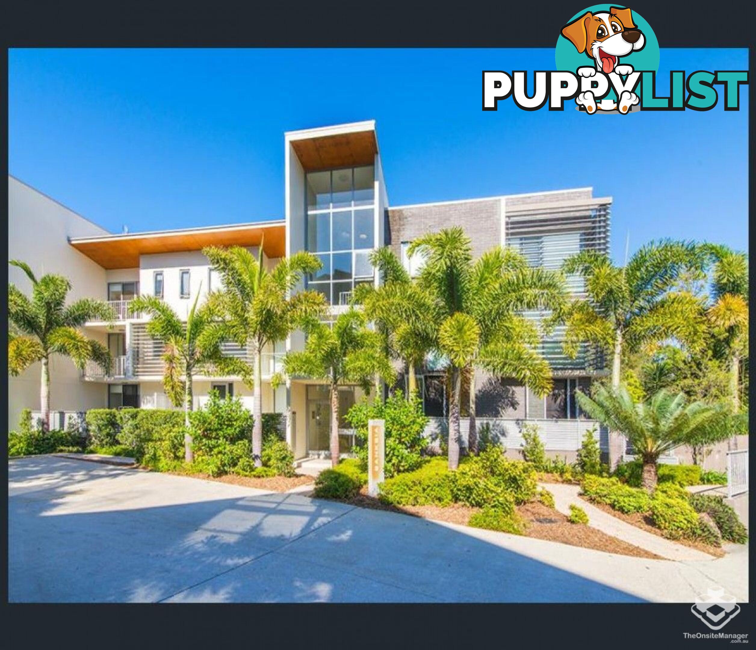 ID:21154140 154 Musgrave Avenue Southport QLD 4215
