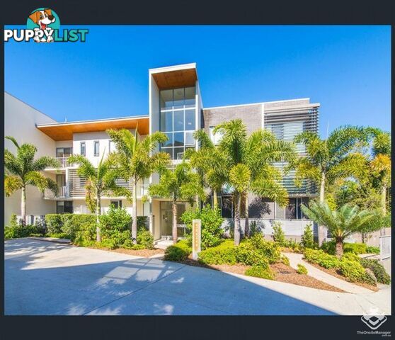ID:21154140 154 Musgrave Avenue Southport QLD 4215