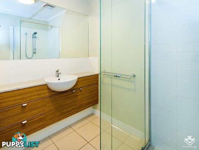 ID:21154140 154 Musgrave Avenue Southport QLD 4215