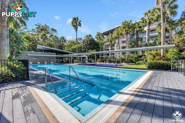 ID:21154140 154 Musgrave Avenue Southport QLD 4215