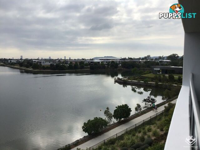 ID:21157421 397 Christine Avenue Varsity Lakes QLD 4227