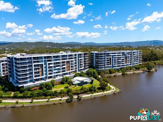 ID:21157421 397 Christine Avenue Varsity Lakes QLD 4227