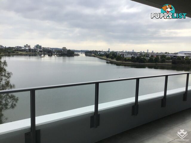 ID:21157421 397 Christine Avenue Varsity Lakes QLD 4227