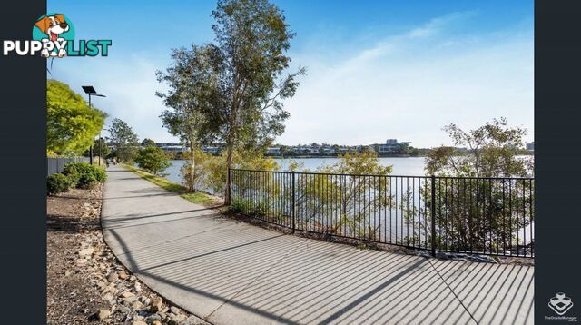 ID:21157421 397 Christine Avenue Varsity Lakes QLD 4227