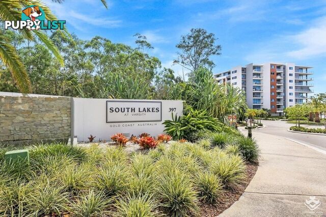 ID:21157421 397 Christine Avenue Varsity Lakes QLD 4227