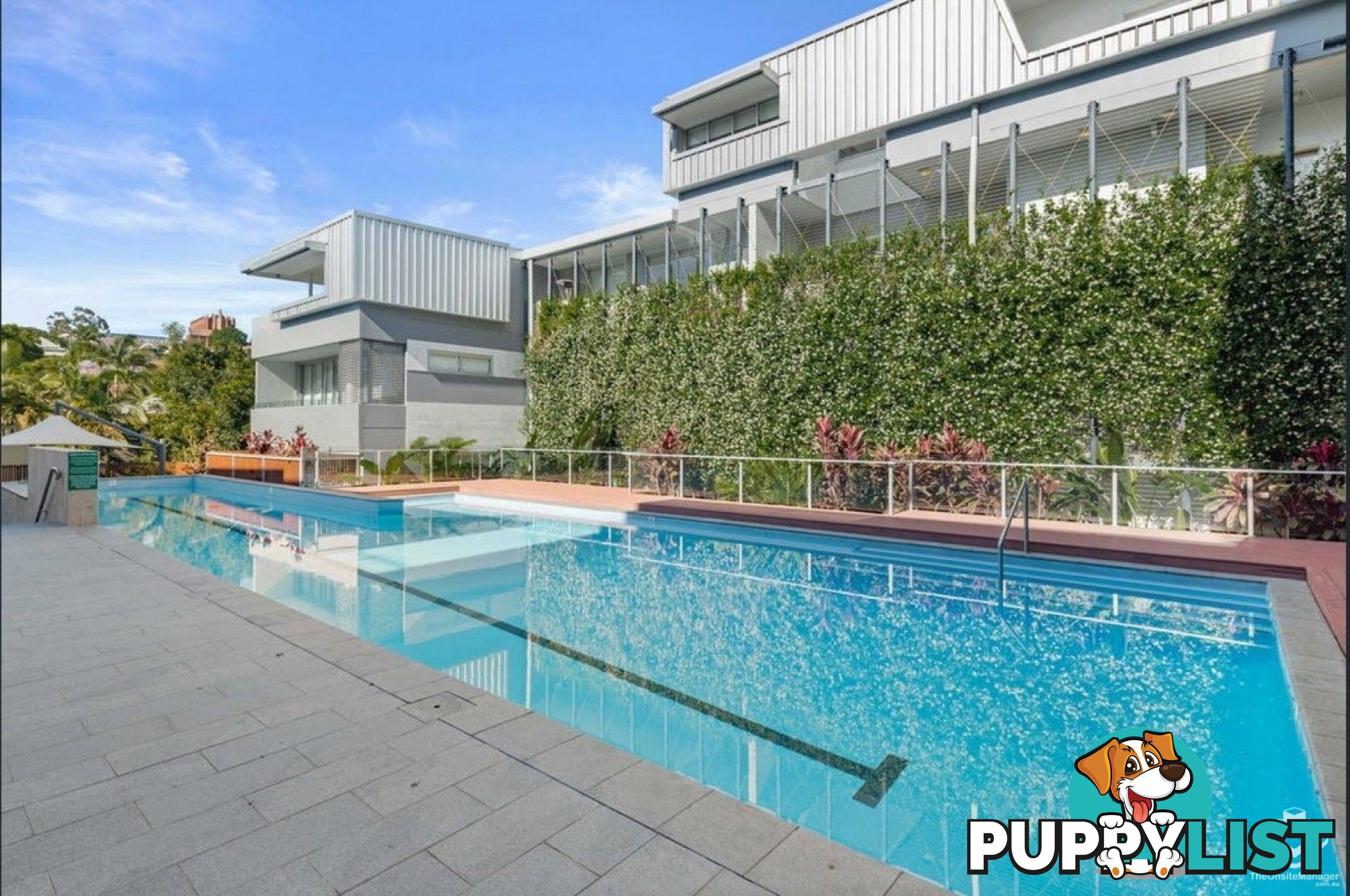 ID:21156914 5 Alexandra Street Paddington QLD 4064