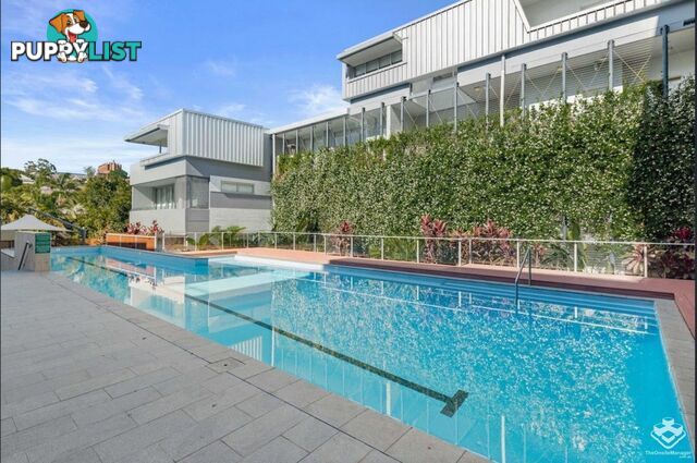 ID:21156914 5 Alexandra Street Paddington QLD 4064