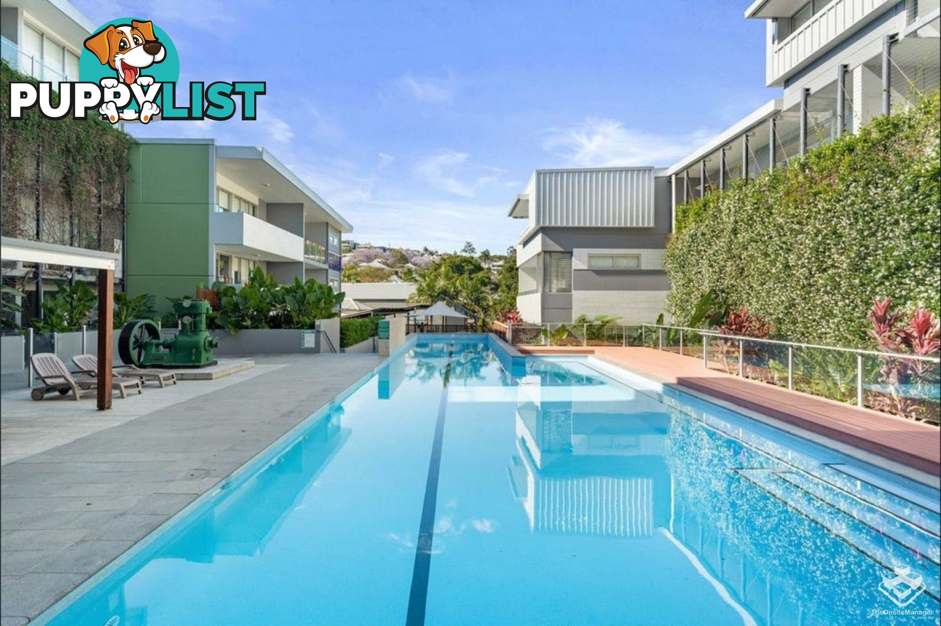 ID:21156914 5 Alexandra Street Paddington QLD 4064
