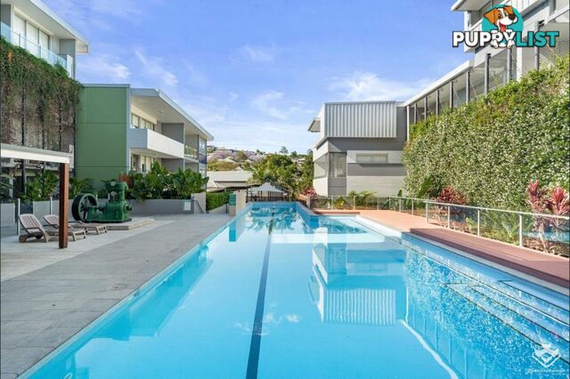 ID:21156914 5 Alexandra Street Paddington QLD 4064