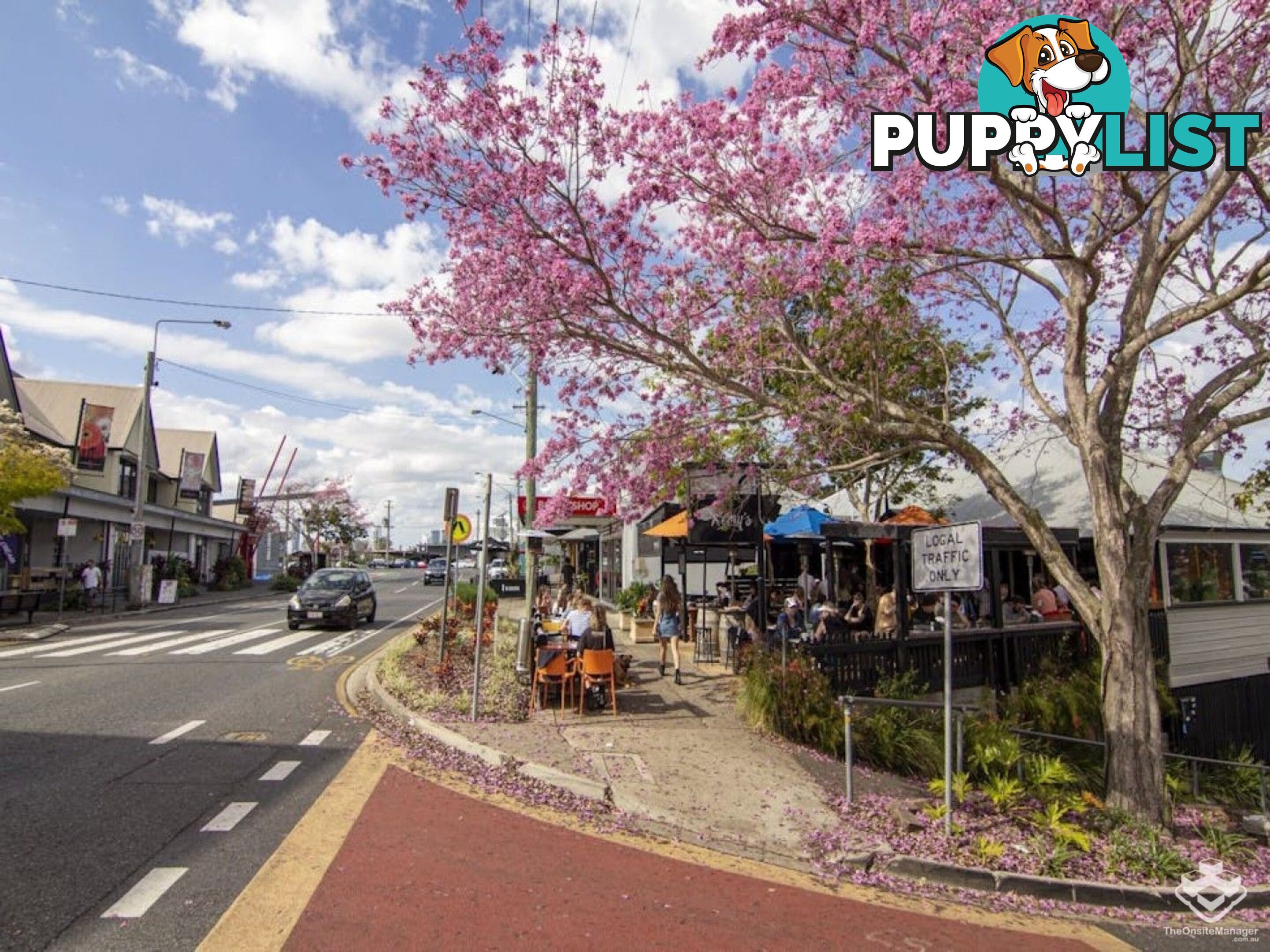 ID:21156914 5 Alexandra Street Paddington QLD 4064