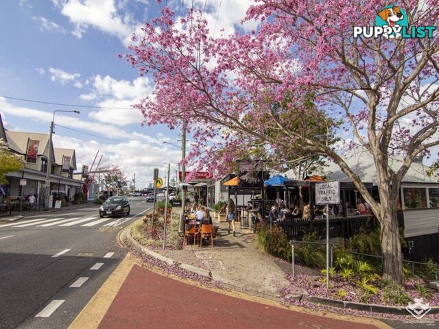 ID:21156914 5 Alexandra Street Paddington QLD 4064