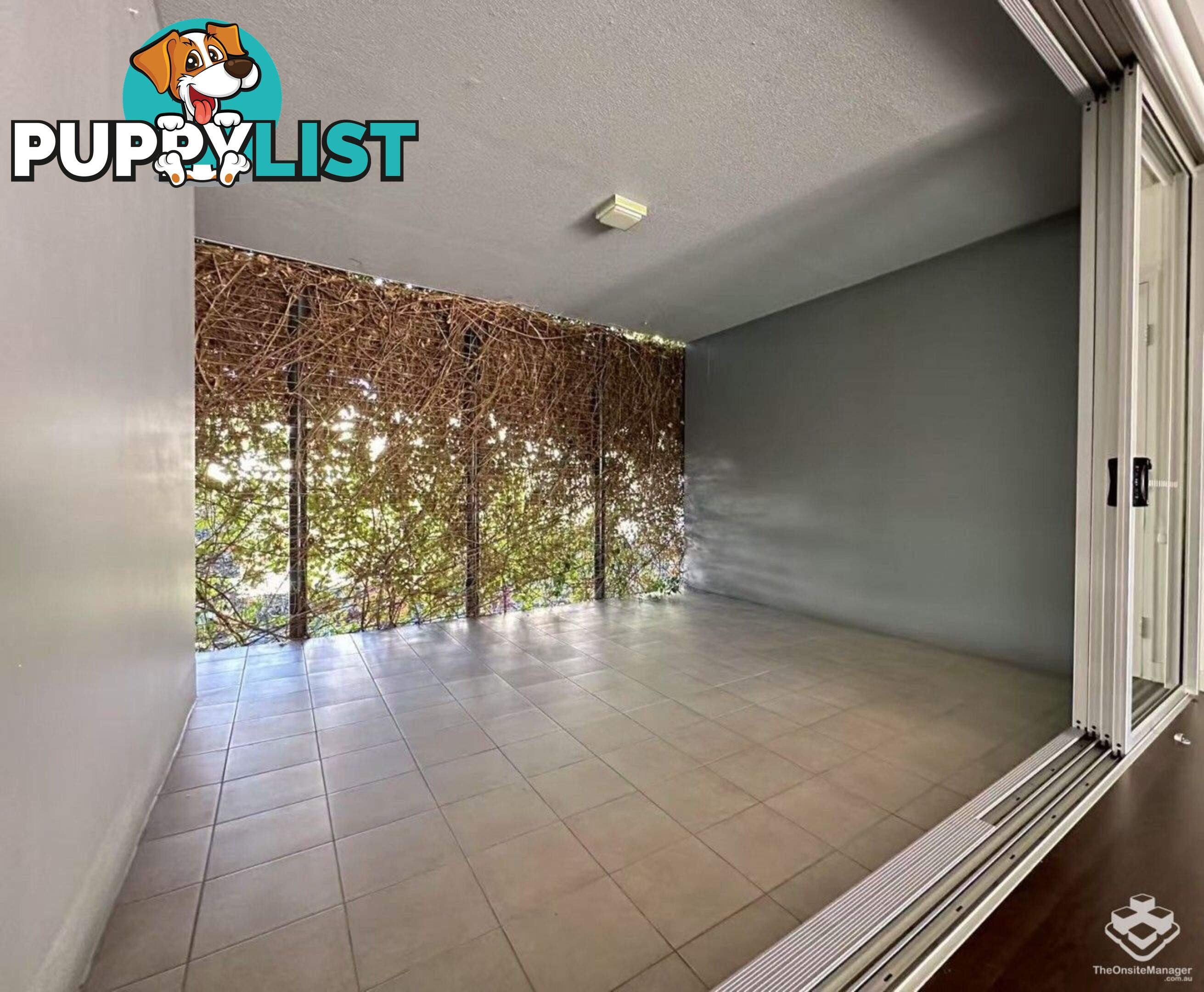 ID:21156914 5 Alexandra Street Paddington QLD 4064