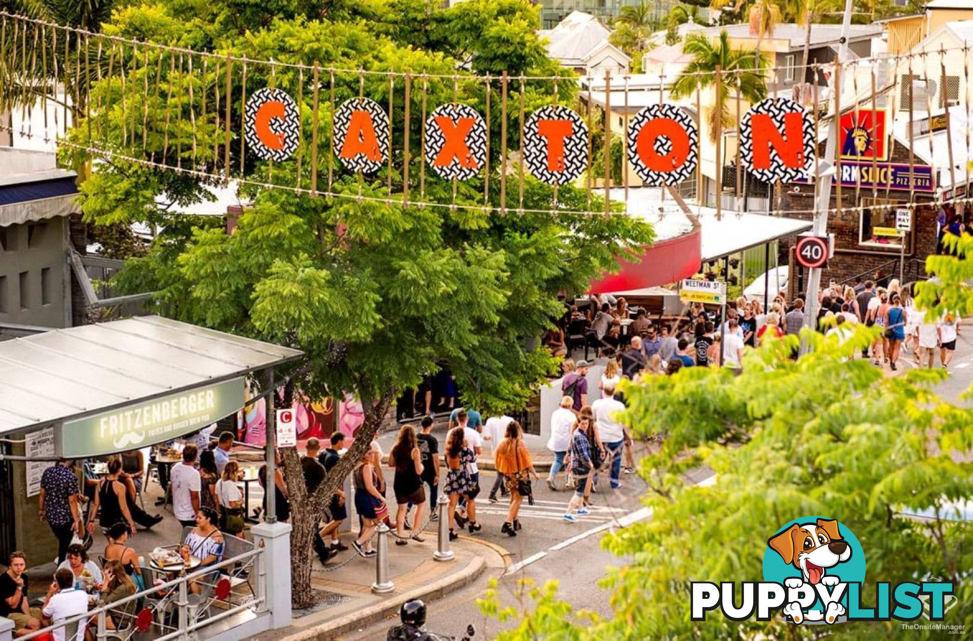 ID:21156914 5 Alexandra Street Paddington QLD 4064