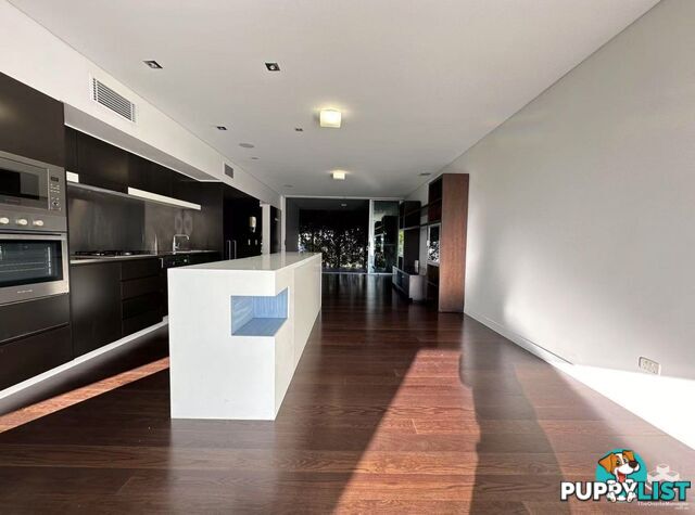 ID:21156914 5 Alexandra Street Paddington QLD 4064